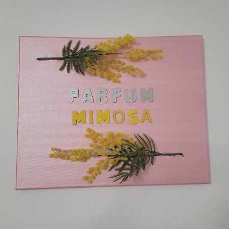 شقة جراس  في Parfum Mimosa المظهر الخارجي الصورة