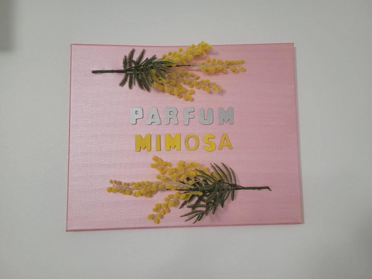 شقة جراس  في Parfum Mimosa المظهر الخارجي الصورة